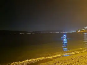 Mudanya’da denizde çığlık seslerini duyan sahile koştu
