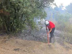 Mudanya’da rüzgarın etkisiyle büyüyen yangın kontrol altına alındı
