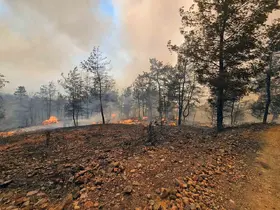 Muğla Büyükşehir İtfaiyesi Milas ve Köyceğiz’de alevlerle mücadele ediyor
