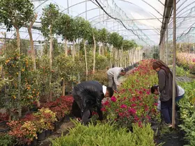 Muğla Büyükşehir’den yerel kalkınmaya katkı

