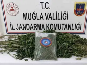 Muğla Jandarmasından uyuşturucu tacirlerine operasyon: 33 tutuklama
