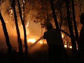 Muğla Valiliği’nden orman yangını uyarısı: "Bir kıvılcımla yok olmasın"
