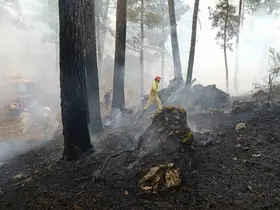 Muğla Valiliğinden ‘Yangın’ uyarısı
