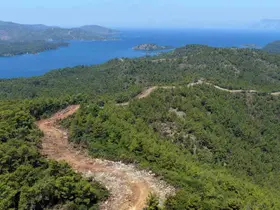 Muğla ve Aydın’da Orman yangın şerit yolu uzunluğu 2 bin kilometreye çıkıyor
