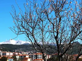 Muğla’da kış ve bahar aynı karede
