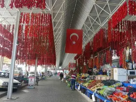Muğla’da kurutmalıklar yurt dışına açıldı
