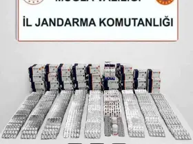 Muğla’da uyuşturucu operasyonlarında 3 tutuklama

