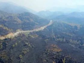 Muğla’da yangın felaketinin boyutu drone görüntüleriyle ortaya çıktı
