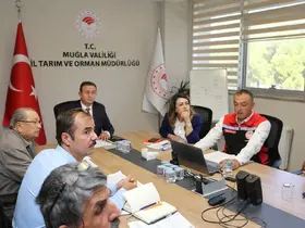 Muğla’da zeytin rekolte tahmini toplantısı yapıldı
