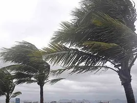 Muğla’nın iç kesimleri için kuvvetli rüzgar ve fırtına uyarısı

