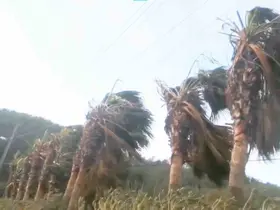 Muğla’nın Kuzey bölümleri için fırtına uyarısı
