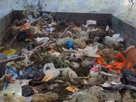 Muhtardan örnek davranış: Çubuk Gölü’nü kendi traktörüyle temizledi
