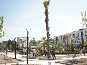 Muradiye’de yeşil dönüşüm
