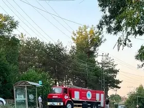 Muratlı’da ağaçlık alanda çıkan yangın söndürüldü
