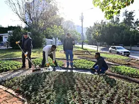 Muratpaşa’da Trafik Parkı çiçek bahçesine dönüştü

