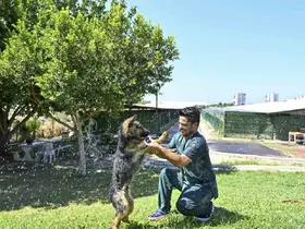 Muratpaşa’dan patili dostlara serin dokunuş
