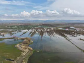 Muş Ovası’nda kar erimesi ve sağanak tarım arazilerini sular altında bıraktı
