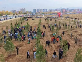 Muş’ta 20 bin fidan toprakla buluşturuldu

