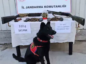 Muş’ta jandarmadan uyuşturucu ve silah operasyonu
