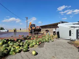Muş’ta karpuz yüklü tır devrildi: Karpuzlar yola döküldü
