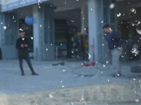 Muş’ta kavak polenleri esnafı olumsuz etkiliyor
