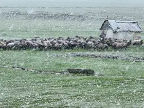 Muş’ta nisan karı etkisini sürdürüyor: 22 köy yolu ulaşıma kapandı
