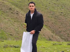 Muş’ta "Yayla muzu" mesaisi başladı
