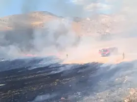 Nallıhan’da otluk alanda çıkan yangın söndürüldü
