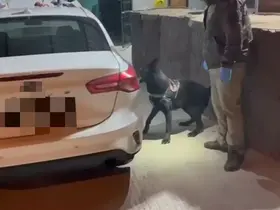 Narkotik dedektör köpeği aracın döşemesine gizlenmiş uyuşturucu buldu: 3 gözaltı
