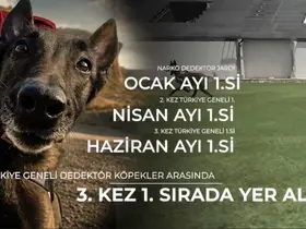 Narkotik köpeği ‘Jardi’ üçüncü kez zirvede
