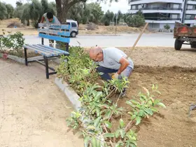 Nazilli kışa hazırlanıyor
