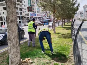 Niğde bahara hazırlanıyor
