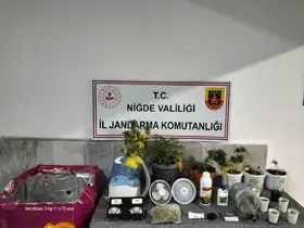 Niğde’de yasadışı kenevir yetiştirenlere operasyon
