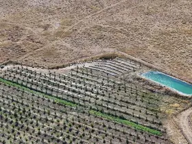 Niğde’nin bin 800 rakımlı Tumlu Yaylası’nda Geven Balı bereketi
