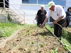 Nilüfer’de yaşlılar fideleri toprakla buluşturdu
