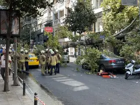 Nişantaşı’nda çınar ağacı iki aracın üzerine devrildi
