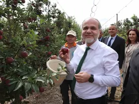 NÖHÜ’de 200 tonun üzerinde elma rekoltesi
