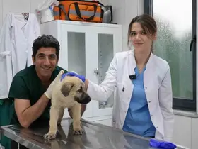 Ödüllü Hayvan Bakım Merkezi can dostlara umut oluyor

