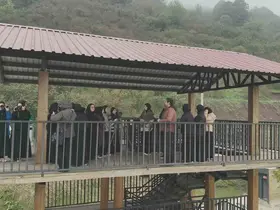 Öğrenciler kuş türlerini doğal yaşam alanlarında gözlemledi

