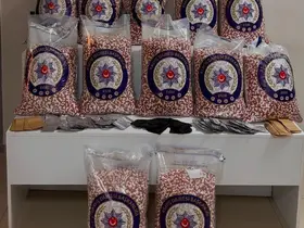 Önce taksi, sonra eve baskın: 280 bin uyuşturucu hap ele geçirildi

