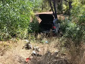 Önündeki otomobile çarptı, ardından ormana daldı: 1 yaralı
