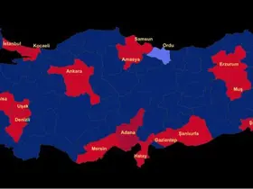 Ordu merkezli 17 ilde dolandırıcılık operasyonuna 8 tutuklama
