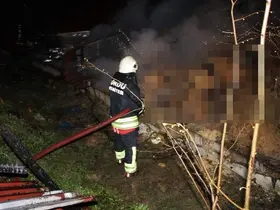 Ordu’da ahır yangını: 27 büyükbaş hayvan telef oldu
