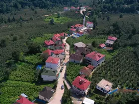 Ordu’da beton yol çalışmaları sürüyor
