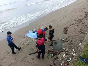 Ordu’da denizde erkek cesedi bulundu
