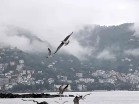 Ordu’da görsel şölen
