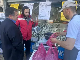 Ordu’da hamsi 25 liraya düştü, vatandaş sıraya girdi

