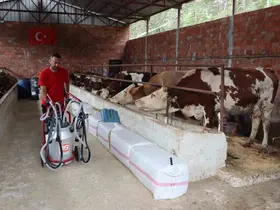 Ordu’da sütün değeri artıyor
