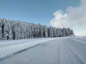 Ordu’da tipi nedeniyle yol trafiğe kapatıldı
