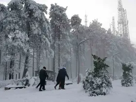 Ordu’nun ‘seyir terası’ Boztepe’de kar güzelliği
